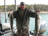 (03/28/2015) - Nice Striped Bass